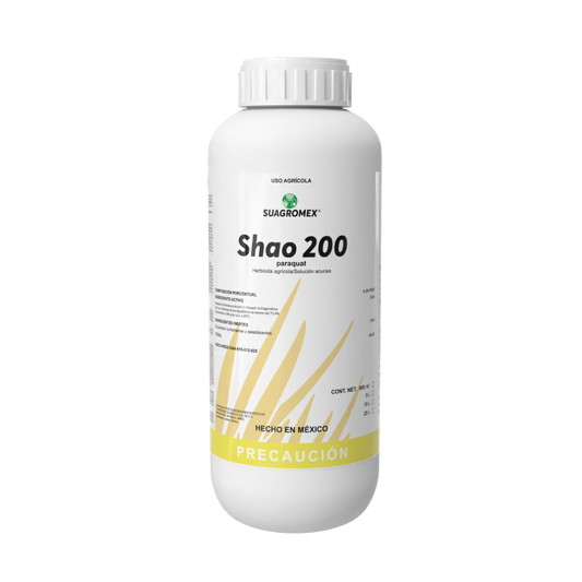 SHAO 200