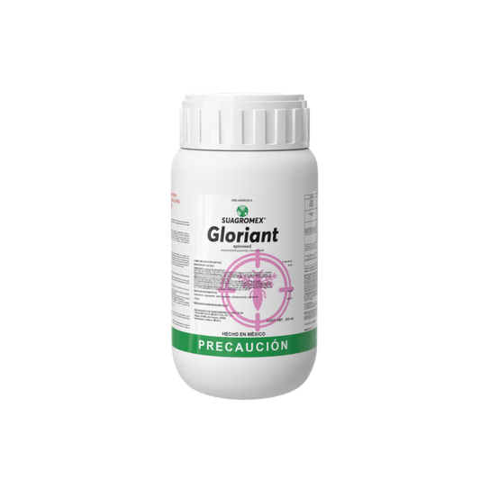 GLORIANT