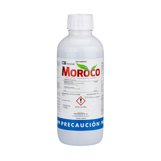 Moroco