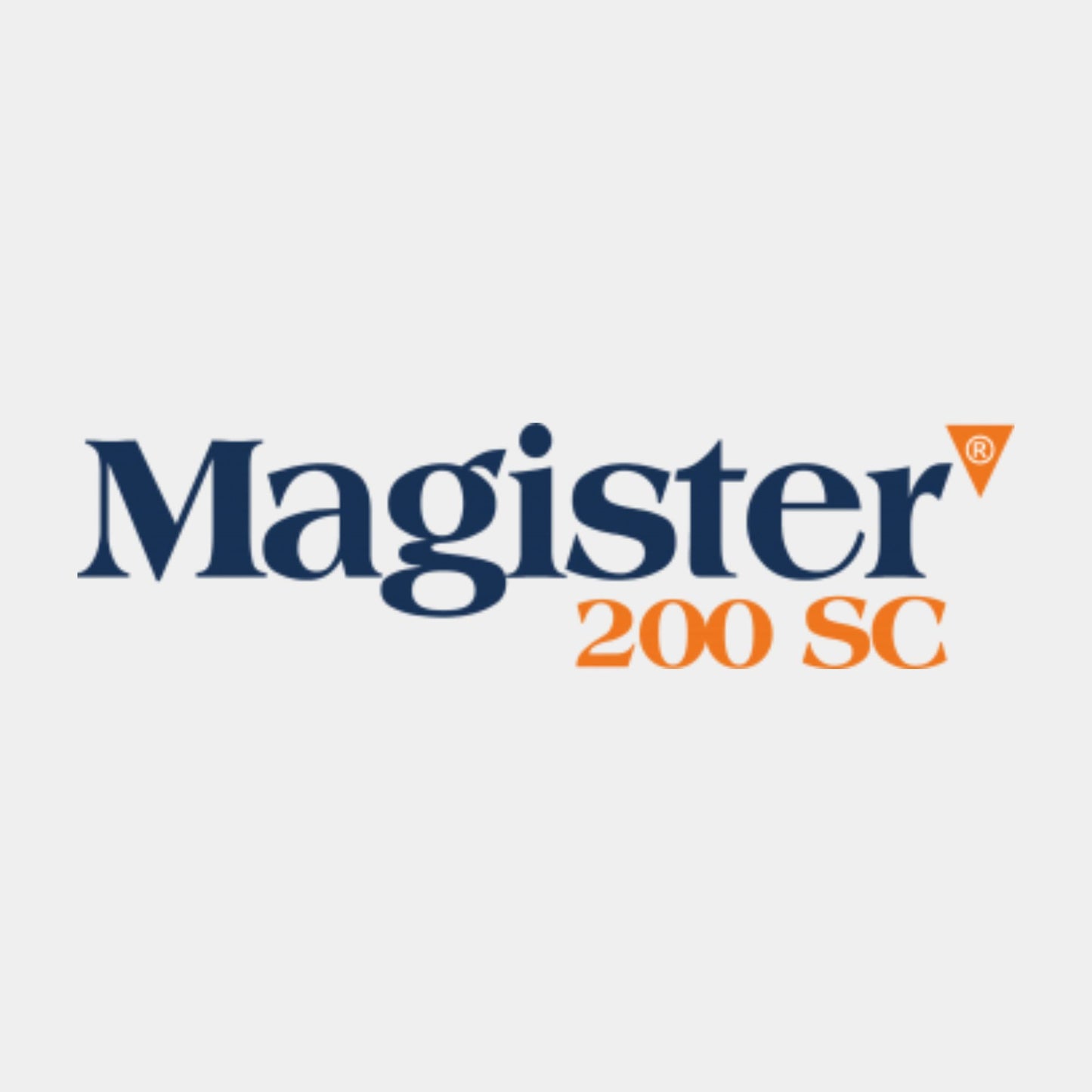 Magister