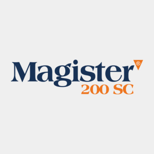 Magister
