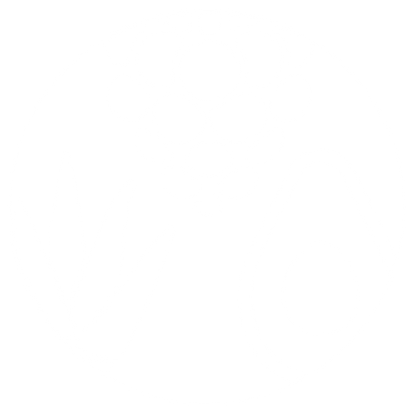 SUAGROMEX 